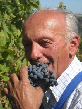 VENDEMMIA - Agriturismo Il Gualdo di Sotto