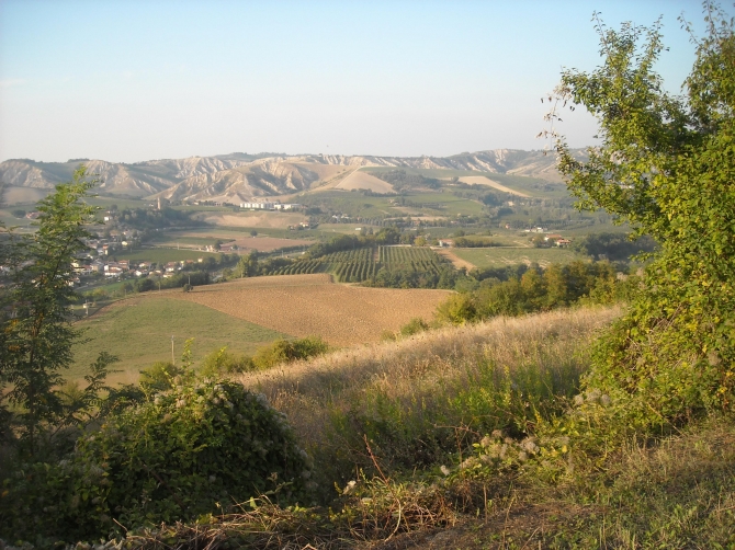 Farmhouse B&B - Agriturismo Il Gualdo di Sotto